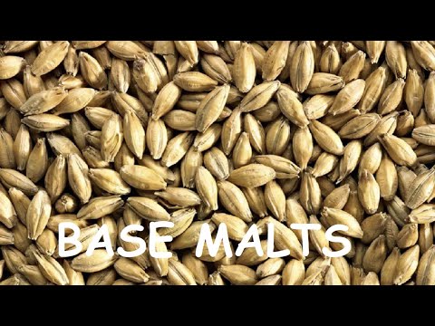 Understanding Base Malts (Pilsner, Lager, Pale Ale, Mild, Vienna, & Munich Malts) - Base Malts 101