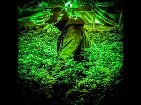 Pixie Elf- Oldschool Dubstep 100% vinyl mix