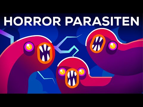 Schaurige Parasiten – Vernachlässigte Krankheiten