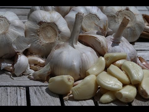Prostata-knotige Form Von Prostatitis sitzenden Lebensstil