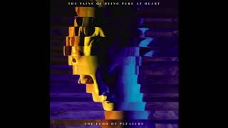 The Pains Of Being Pure At Heart - The Echo Of Pleasure (Full Album)