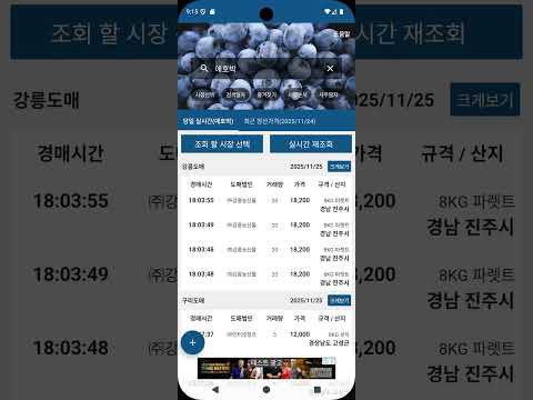 농산물 경매 가격 정보 - 실시간, 일자별