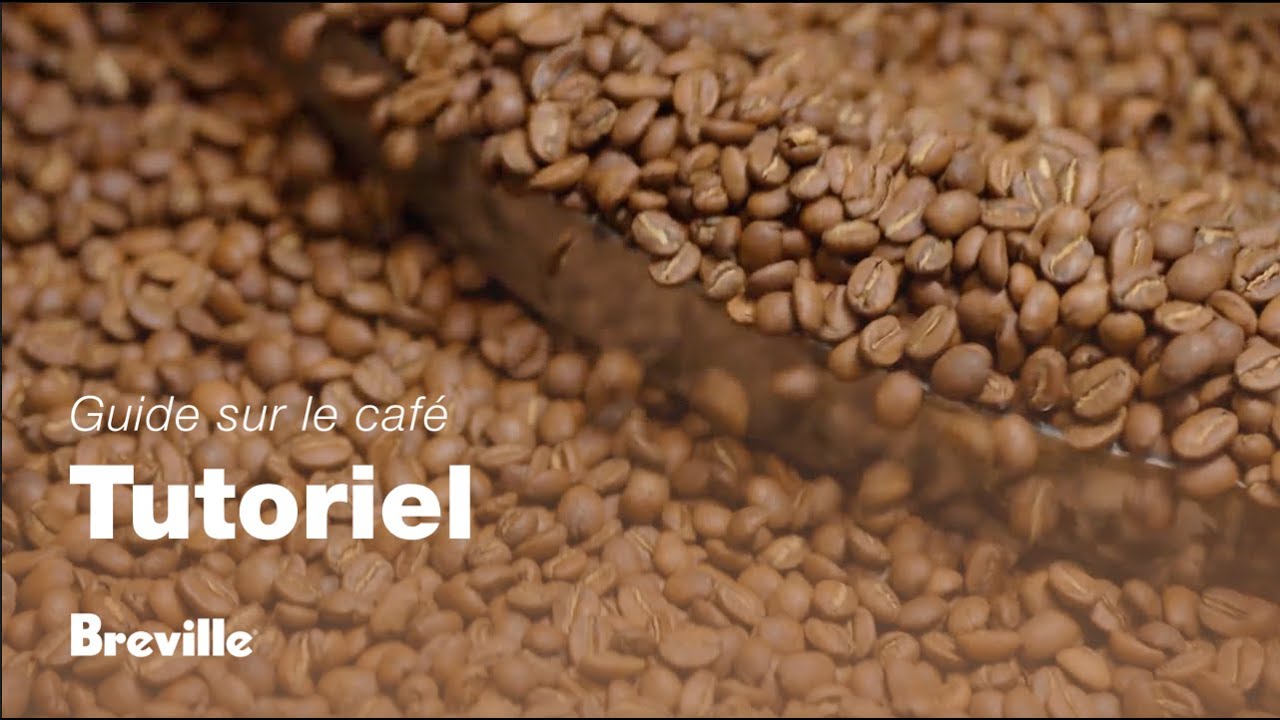 Choisir les bons grain
