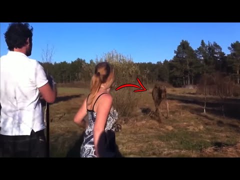 Man Protects Woman From Wild Animal (When Tough Men Save Lives #1)