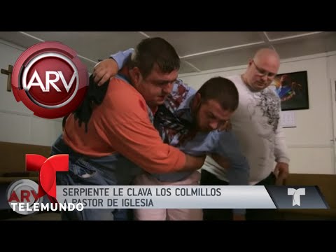 Cascabel muerde a pastor en pleno sermón | Al Rojo Vivo | Telemundo
