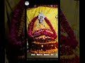 Avari Mata Status Https Instagram Com Stories Ruchika6794 2869717634283553630 Utm Source Ig Stor