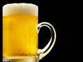 DRINK BEER (wear sunscreen parody) lyrics ...