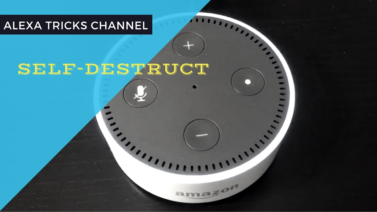 LOL! What Happen When Asking Alexa To Self-Destruct