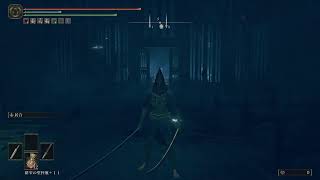 エルデンリング　DLC PS5 パート7