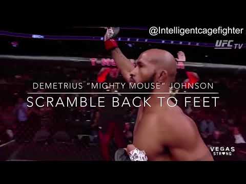 Demetrius Johnson: Technical Scramble