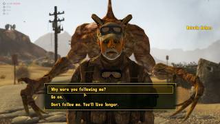 Fallout Being Fallout for 30 Minutes