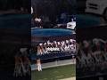 THE DOLPHINS KEPT LIVE DOLPHINS #nfl #nflfootball #football
