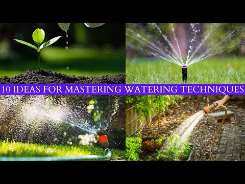 10 Ideas For Mastering Watering Techniques: Efficient Strategies for a Hydrated and Vibrant Garden