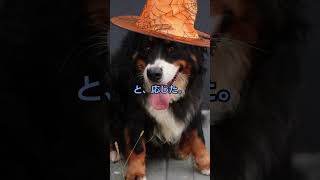 さすがは日本人