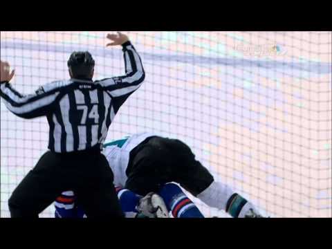 Mike Brown vs Matt Hendricks fight Jan 29 2014