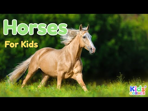 Horses For Kids | Facts About Horses | Learn About Horses | Animals For Kids