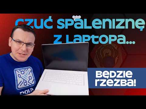 Pola Masowe and Wielki Elektronik