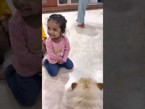 Mihi playing with coco dog