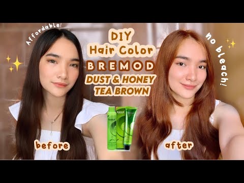 DIY HAIR COLOR USING BREMOD DUST & HONEY TEA BROWN (No...