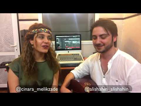 Cinare Melikzade   Kınıfır bedrenk olur  Menzeri feat Alishahin
