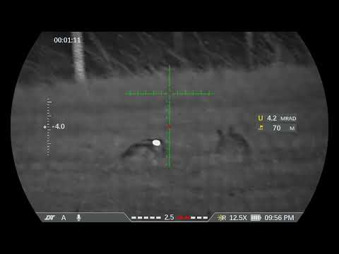 DNT Optics ZULUS HD ZHD520R V2 5-20X Digital Night Vision Scope With LRF Ballistic Calculator Hares