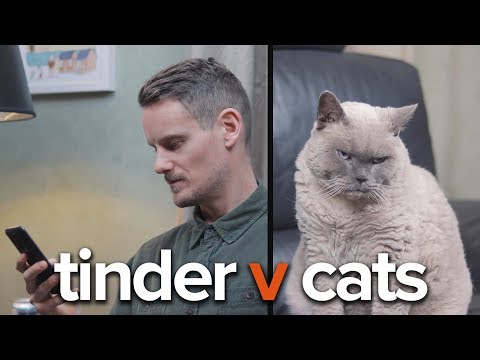Tinder v Cats | It’s A Match