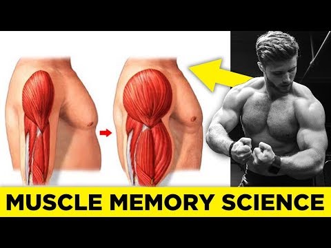 How To Use Muscle Memory To Re-Build Lost Muscle (Science Explained)
