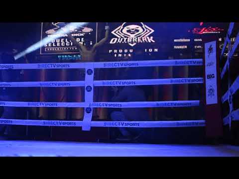 Entrada a la pelea gino