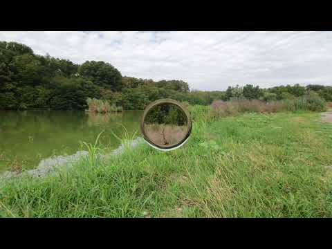 Teren Branesti - Ilfov - Padurea Cernica - Lac Pasarea