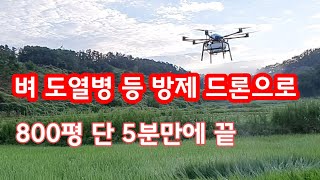 드론방제 벼 도열병 등 [벼재배방법]