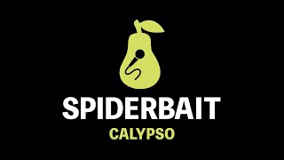 Spiderbait - Calypso (Karaoke)