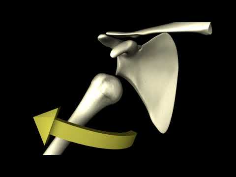 Shoulder Dislocation Reduction - Traction Method