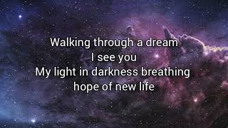 Leona Lewis - I See You  (Lyrics) Theme from Avatar