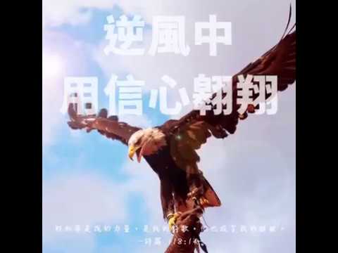 06/09/2017 Distrito de Xiaogang, condado de Lingya, província de Kaohsiung