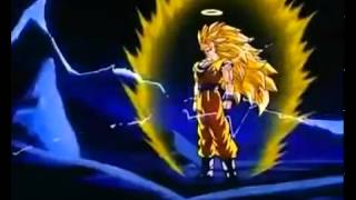 Donde estan perros cartel de santa