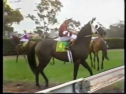 1988 Australian Cup - Dandy Andy 125/1