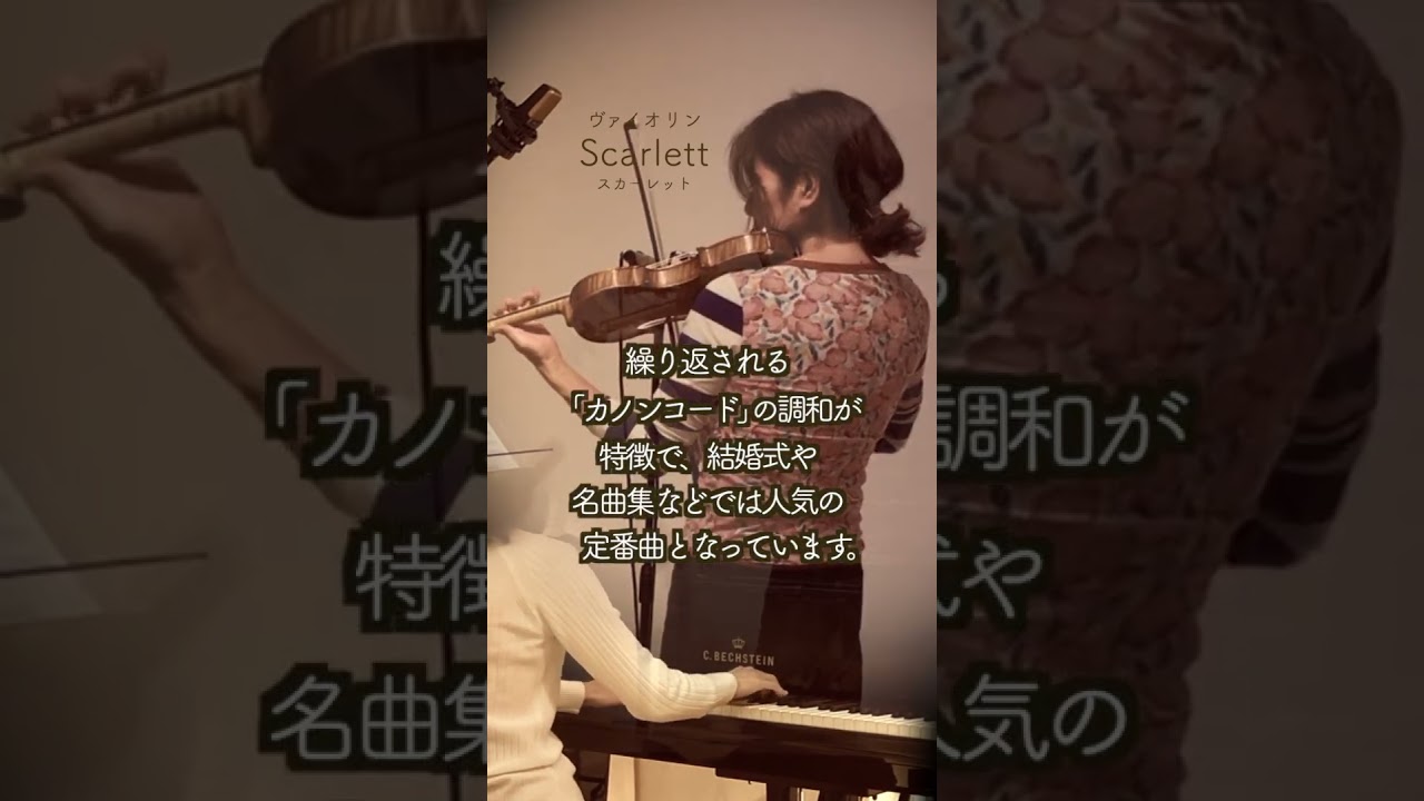 【続3分🌸パッヘルベルのカノンCanon 】#shorts Pachelbel's Canon @33ViolinPiano ヴァイオリンとピアノ Violin&piano