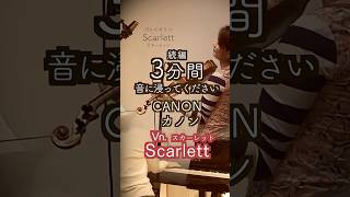 Download lagu 【続3分🌸パッヘルベルのカノンCanon 】#shorts Pachelbel's Canon @33ViolinPiano ヴァイオリンとピアノ Violin&piano mp3