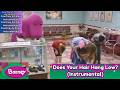 Barney Does Your Hair Hang Low Instrumental