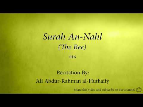 download lagu mp3 mp4 Abdul Rahman Hudhaifi Surat An Nahl, download mp3 Abdul Rahman Hudhaifi Surat An Nahl free downloadn, video klip Abdul Rahman Hudhaifi Surat An Nahl