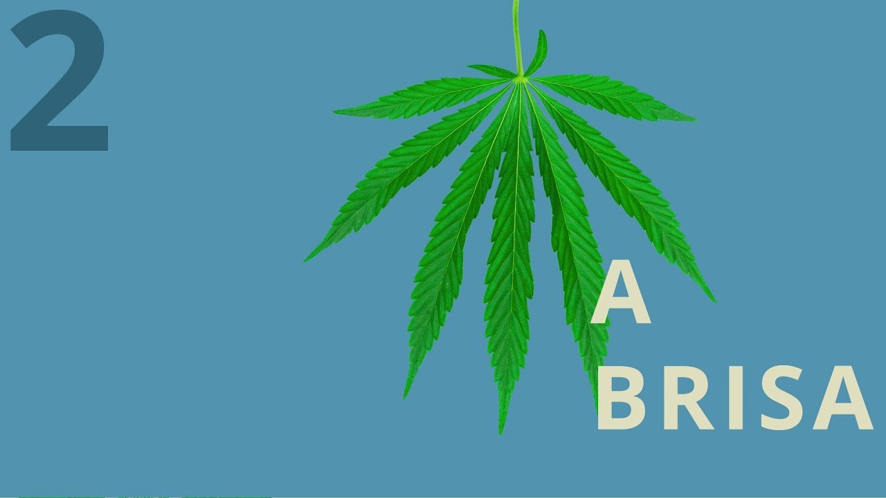 Júlio Manoel Dos Santos Filho-5