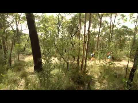 Avsnitt 12 av 26 - Kompisar på Nätet Del 1 av 3