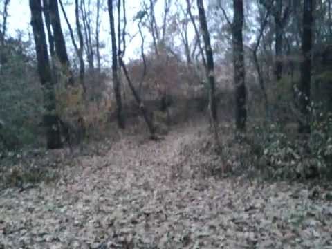 yamaha napraznic la bretea 2:))