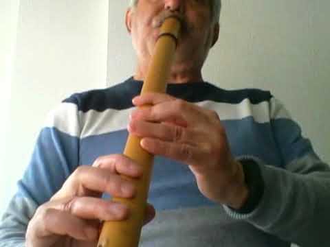 NEVANDO ESTÁ (Adrián Patiño - Fox trot) -  Moseño cromático en DO