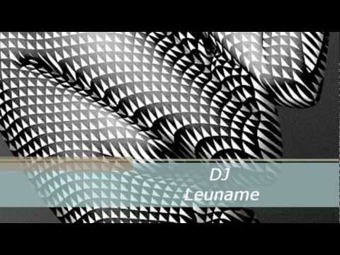 Dj Leuname (loca mix) 2012.wmv