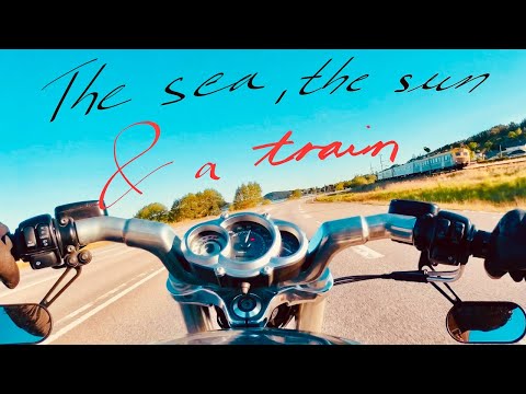 Carving Roads on My Harley V-Rod | Woodland & Farmland Cruise + Wild Encounters
