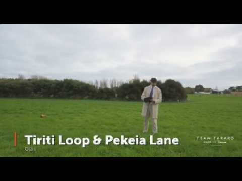 39 Tiriti Loop, Otaki, Kapiti Coast, 0 Bedrooms, 0 Bathrooms, Section
