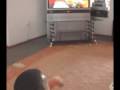 She S Crazy About Generations SABC 1 TV Soapie