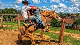 QUANDO O MULADEIRO ENDOIDA, É DESSE JEITO 🤠