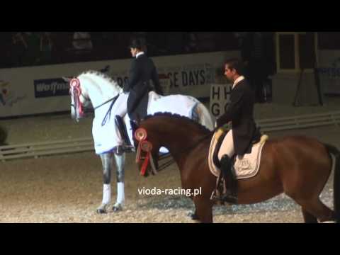 Katarzyna Milczarek i Ekwador - dekoracja - Warsaw Horse Days - 26.03.2011